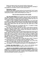 Referāts 'Kazkopība', 7.