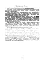 Referāts 'Kazkopība', 8.