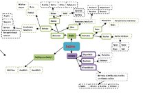 Paraugs 'Sajūtas', 1.