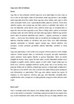 Konspekts 'Augu audu veidi un funkcijas', 1.