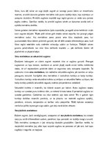 Konspekts 'Augu audu veidi un funkcijas', 3.