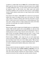 Konspekts 'Augu audu veidi un funkcijas', 6.