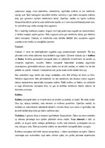 Konspekts 'Augu audu veidi un funkcijas', 10.