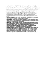 Konspekts 'Starptautiskais mārketings. Eksāmena atbildes', 5.