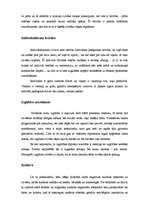 Eseja 'Nāve, grēks, eksistenciālisms, cieņa', 3.