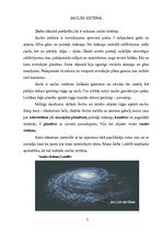 Referāts 'Saules sistēma', 3.