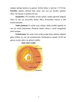 Referāts 'Saules sistēma', 5.