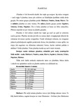 Referāts 'Saules sistēma', 6.