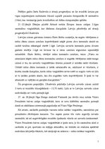 Referāts '2004.gada Olimpisko spēļu dalībnieki - latgalieši', 7.