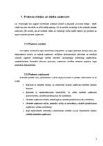 Prakses atskaite 'Viesnīca „Domina Inn Riga”', 3.