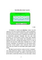 Referāts 'Biškopības ekonomika', 17.