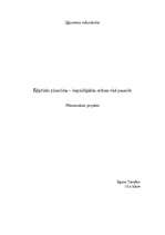 Referāts 'Ēģiptiešu piramīdas – iespaidīgākās celtnes visā pasaulē', 1.