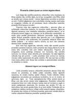 Referāts 'Ēģiptiešu piramīdas – iespaidīgākās celtnes visā pasaulē', 4.