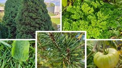 Prezentācija 'Uzdevumi portfolio mapei', 6.