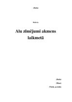 Referāts 'Alu zīmējumi akmens laikmetā', 1.
