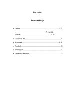 Referāts 'Alu zīmējumi akmens laikmetā', 2.