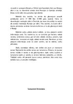 Referāts 'Alu zīmējumi akmens laikmetā', 13.