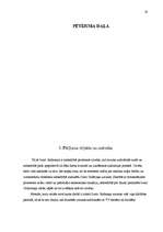 Referāts 'Retorikas analīze Ministru prezidenta Ivara Godmaņa uzrunās viņa darbības period', 19.