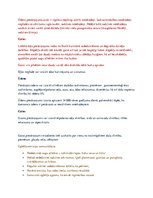 Konspekts 'Vides aizsardzība', 4.