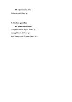 Konspekts 'Bērnu runas īpatnības. Pētījums', 5.