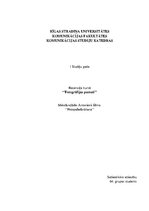 Eseja 'Fotogrāfijas pamati. Mikelandželo Antonioni filma "Fotopalielināšana"', 1.
