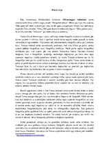 Eseja 'Fotogrāfijas pamati. Mikelandželo Antonioni filma "Fotopalielināšana"', 3.