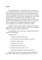 Referāts 'CSDD reklāmas analīze', 4.