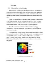 Referāts 'CSDD reklāmas analīze', 21.