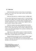 Referāts 'CSDD reklāmas analīze', 24.