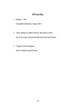 Referāts 'Tehnisko līdzekļu pielietojums izglītībā', 15.