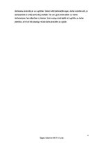 Prakses atskaite 'Prakses atskaite uzņēmumā', 8.