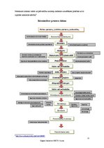 Prakses atskaite 'Prakses atskaite uzņēmumā', 21.