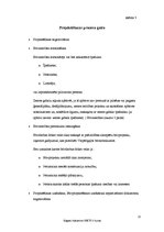 Prakses atskaite 'Prakses atskaite uzņēmumā', 22.