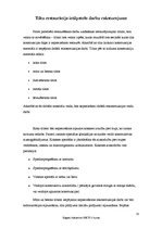 Prakses atskaite 'Prakses atskaite uzņēmumā', 31.