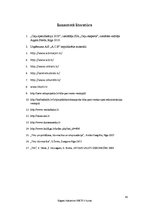 Prakses atskaite 'Prakses atskaite uzņēmumā', 43.