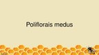 Prezentācija 'Poliflorais medus', 1.
