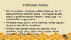 Prezentācija 'Poliflorais medus', 2.