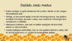 Prezentācija 'Poliflorais medus', 4.