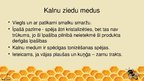 Prezentācija 'Poliflorais medus', 7.