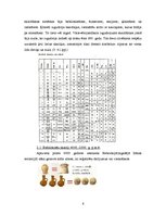 Referāts 'Skaitļu vēsture', 6.