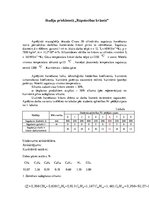 Konspekts 'Rūpniecības krāsnis', 1.