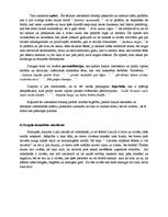 Konspekts 'E.Virzas dzejoļa "Baiga vasara" analīze', 3.