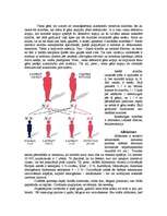 Konspekts 'Hromosomu aberācijas, monogēnās un multifaktoriālās slimības', 15.