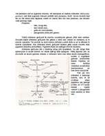 Konspekts 'Hromosomu aberācijas, monogēnās un multifaktoriālās slimības', 16.