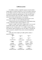 Paraugs 'Materiālzinību laboratorijas darbi', 14.