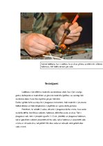 Paraugs 'Materiālzinību laboratorijas darbi', 17.