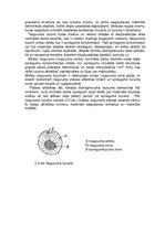 Paraugs 'Materiālzinību laboratorijas darbi', 46.