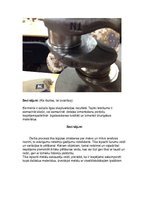 Paraugs 'Materiālzinību laboratorijas darbi', 51.