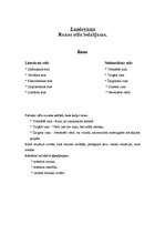 Konspekts 'Stilistika un rediģēšana', 2.