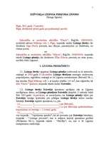 Paraugs 'Dzīvokļa līzinga pirkuma līgums', 1.